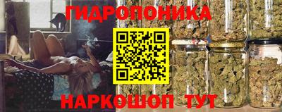 крисы Татарск