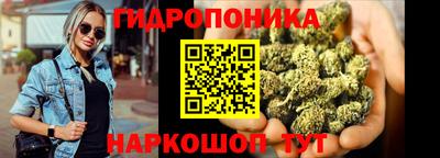 крисы Татарск
